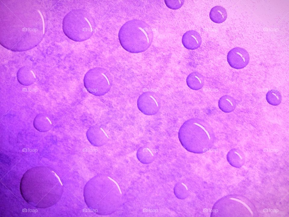 Drops on purple surface