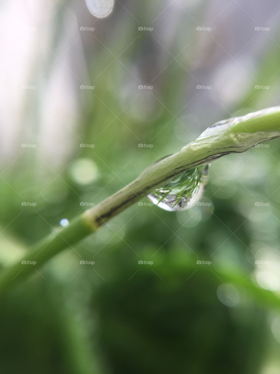 waterdrop 