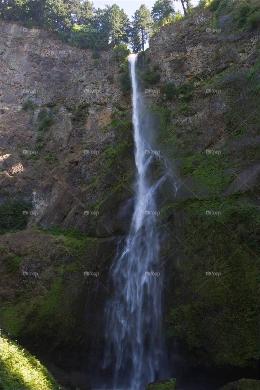 Multnomah Falls