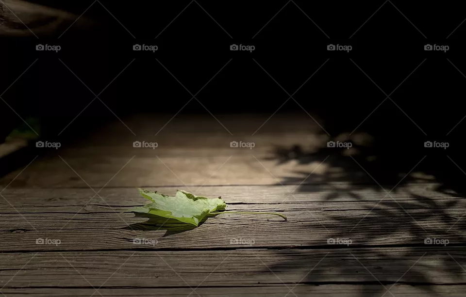 Leaf