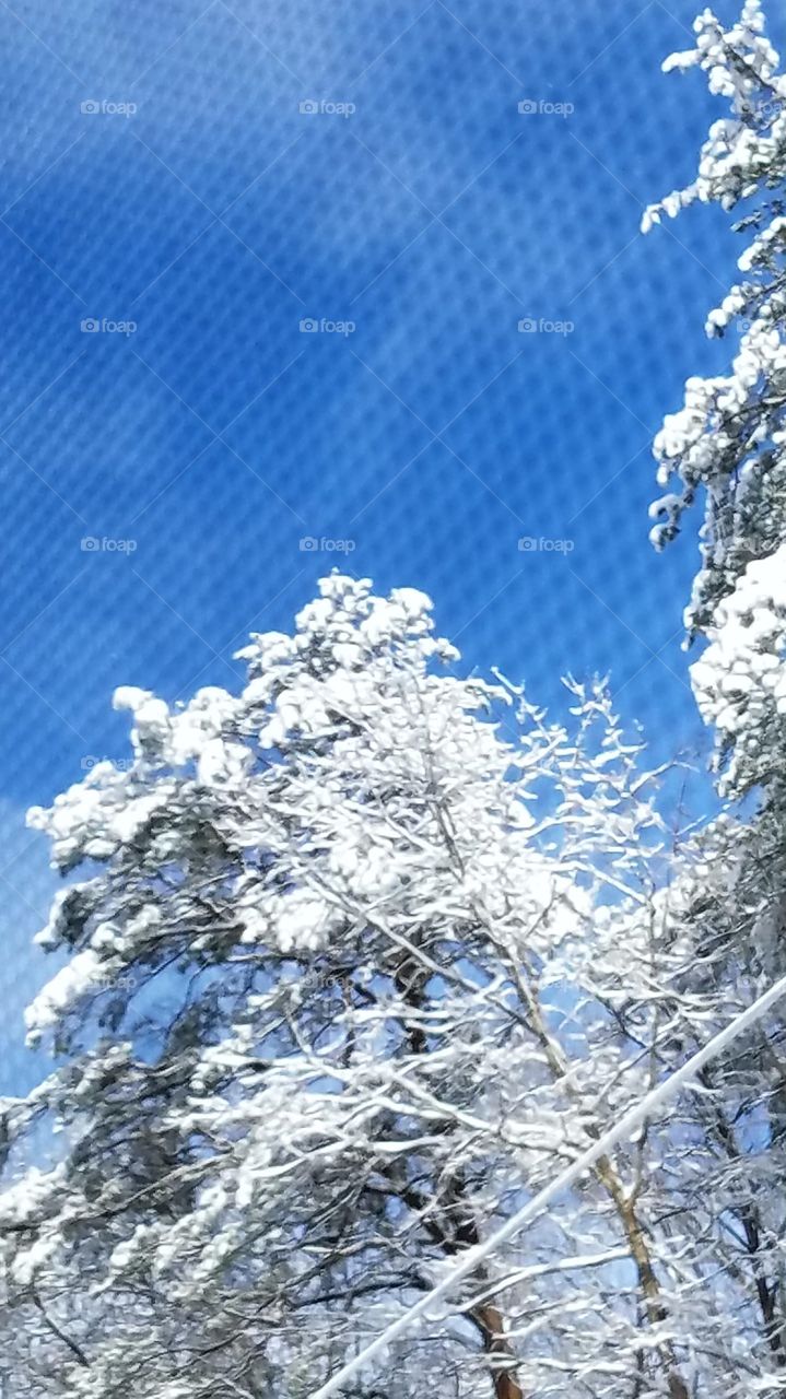 sky through screen after snow