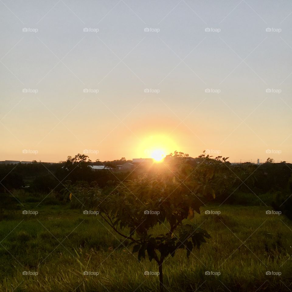 🌅Desperte, #Jundiaí, com a beleza da sua #natureza!
Que a #SegundaFeira possa valer a pena!
🍃🙌🏻
#sol #sun #sky #céu #photo #nature #morning #alvorada #horizonte #fotografia #pictureoftheday #paisagem #inspiração #amanhecer #mobgraphy #mobgrafia 