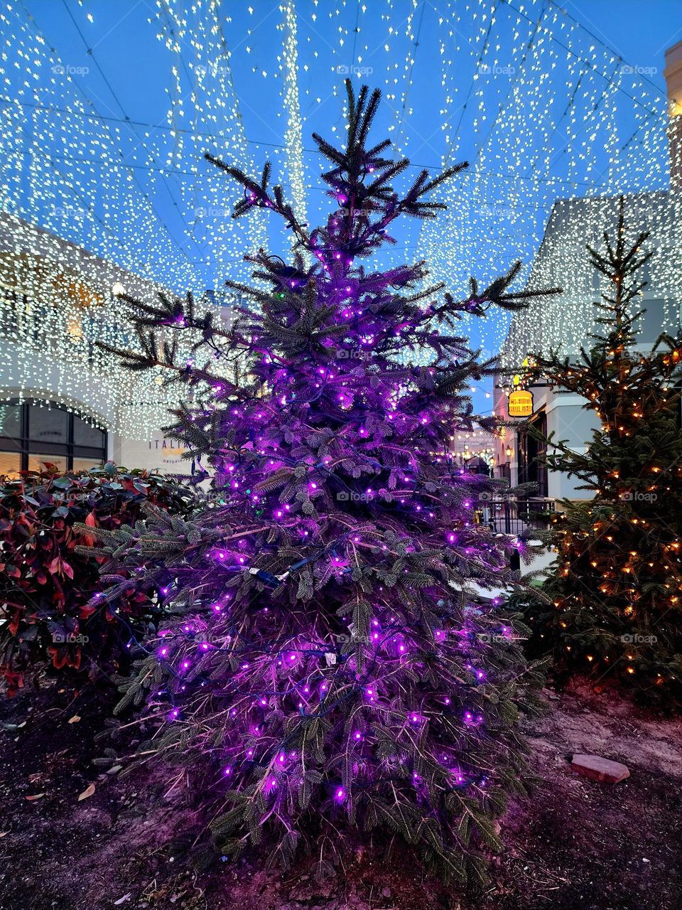 A tree decorated with lavender lights is the main focal point of a mall area decked out with holiday lighting