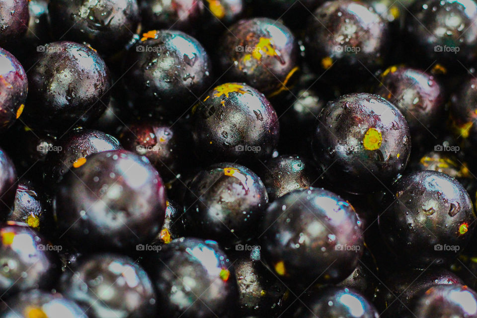 Jaboticaba Fruit of Brazilian origin