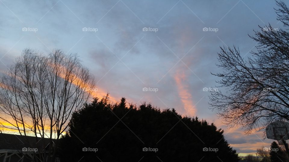 sunset clouds behind trees