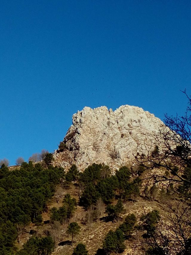 mountain