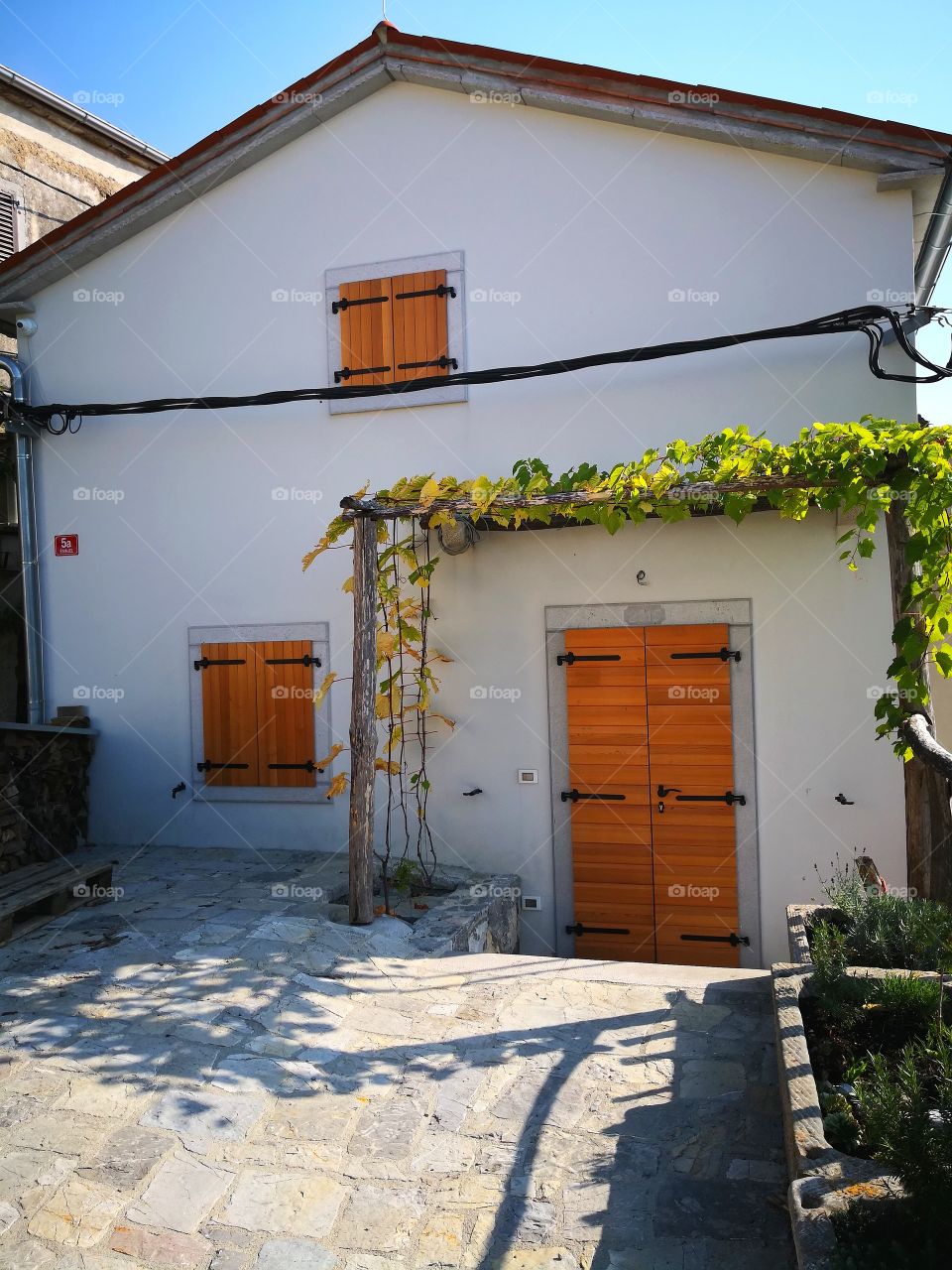 Wine yard house