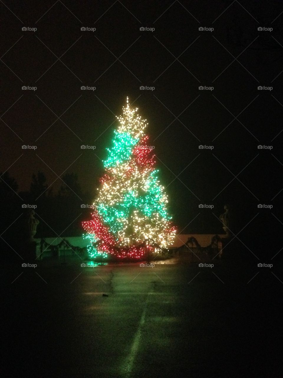 Christmas tree in the fog