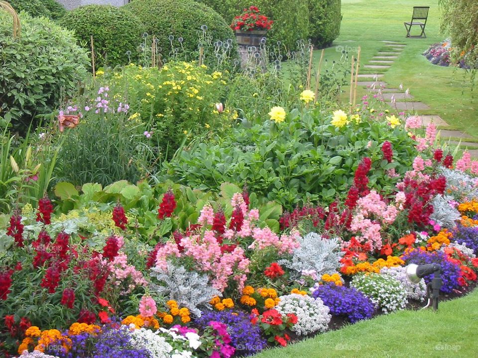 Flower bed in Scotland