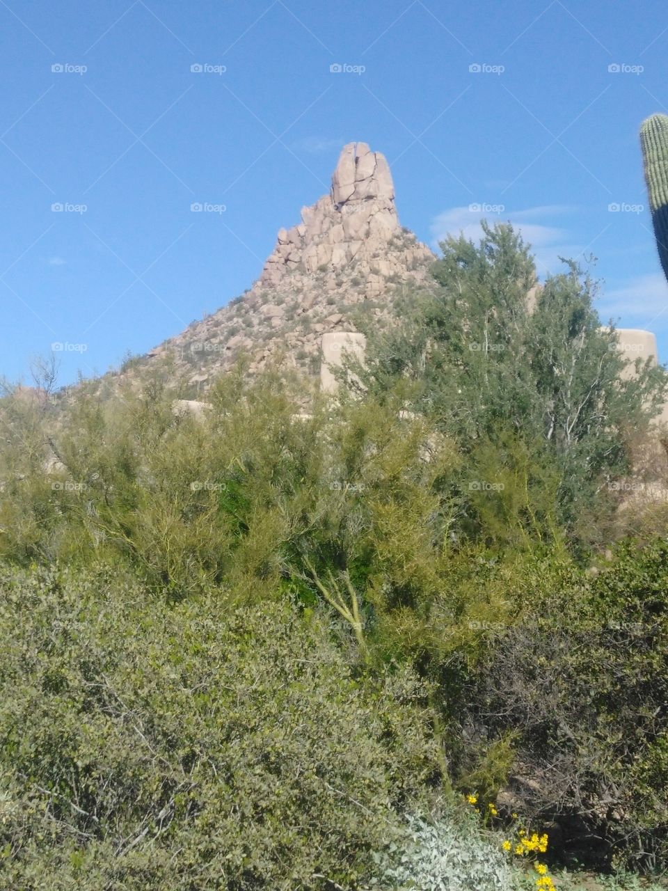 mountian of rock in the desert