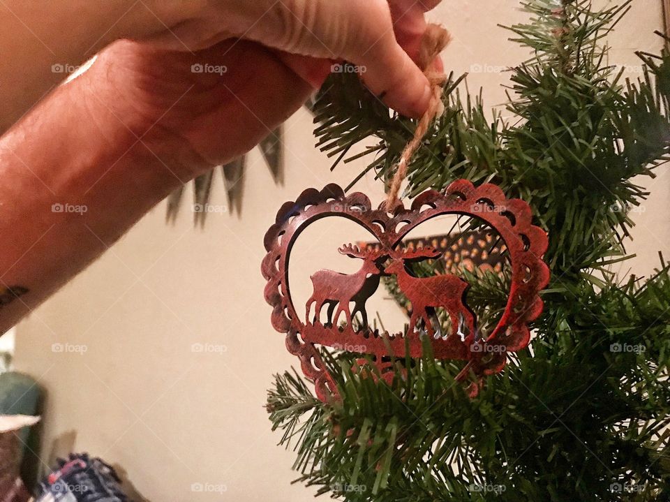 Putting up our first ornament together on our tree