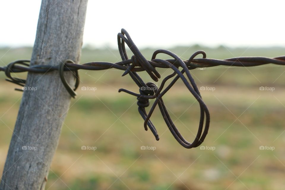 Barbed wire
