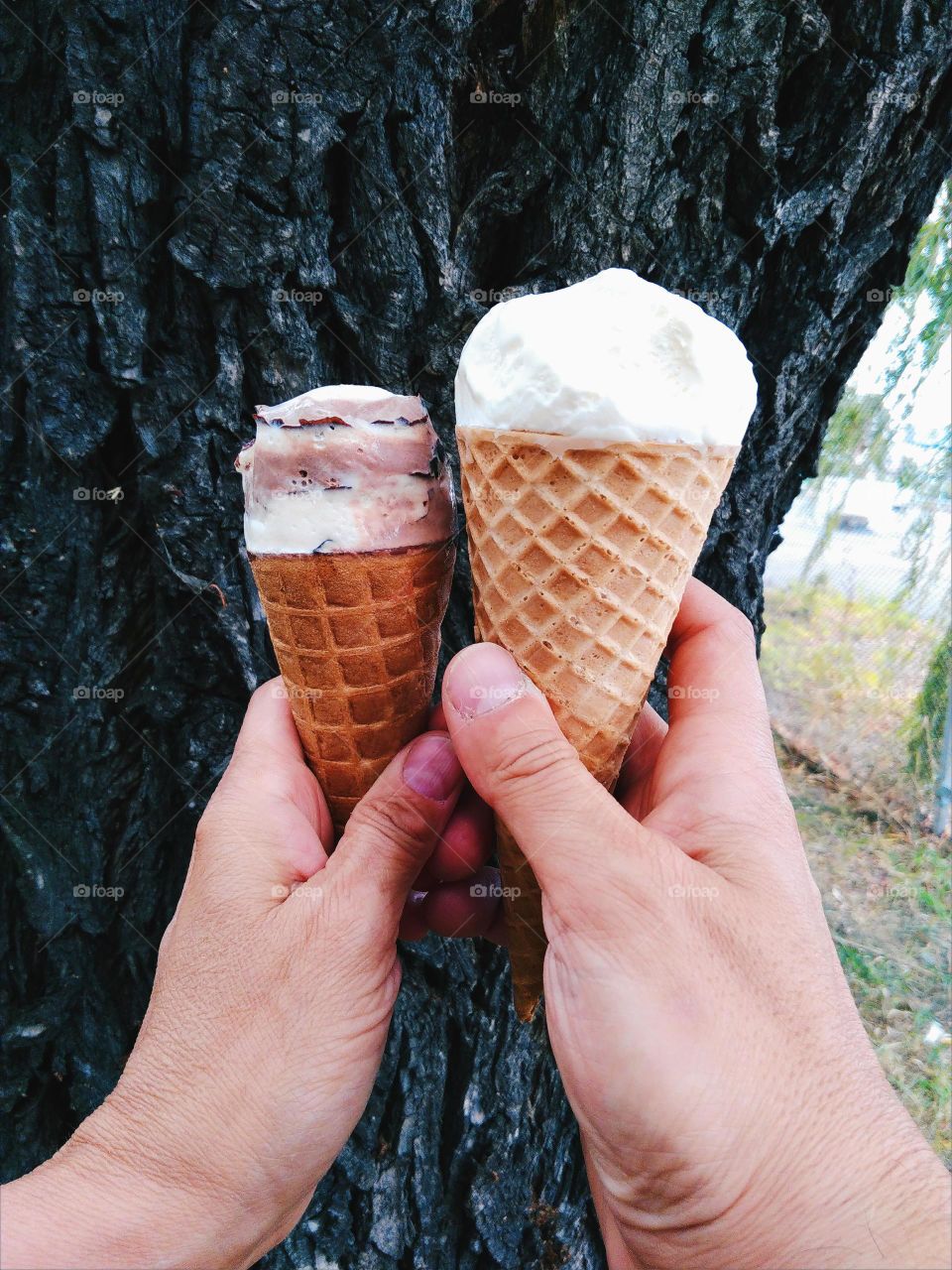 Men's and women's hands holding ice cream