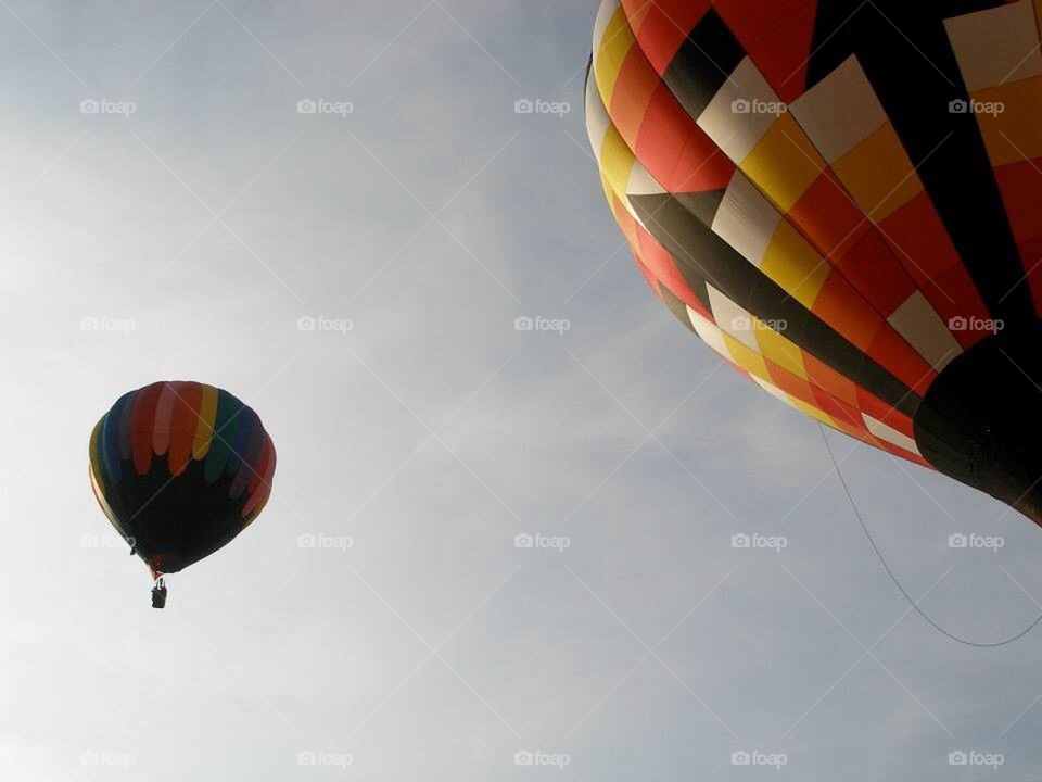 Bottoms Up and Rollo Fitztpug