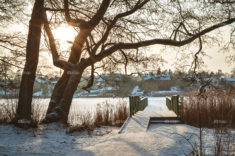 Sunny winter day by the frozen lake