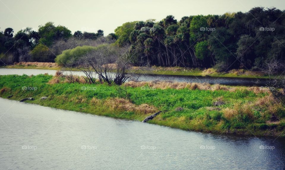 By the river 