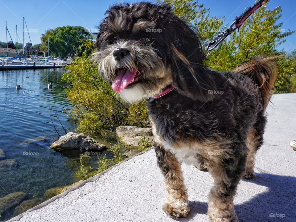 Happy by the Lake