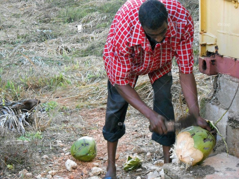 Chopping Coconut