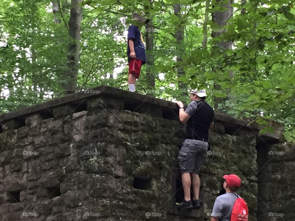 Exploring in the woods 