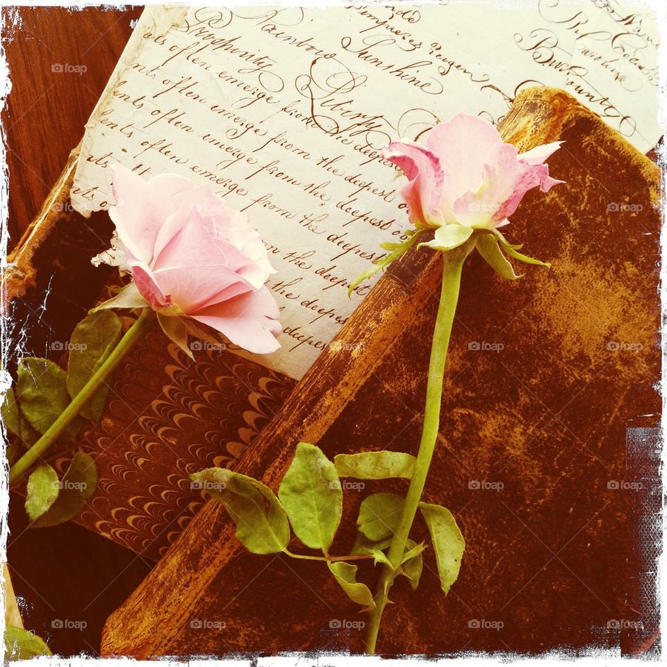 Two roses on old handwriting 