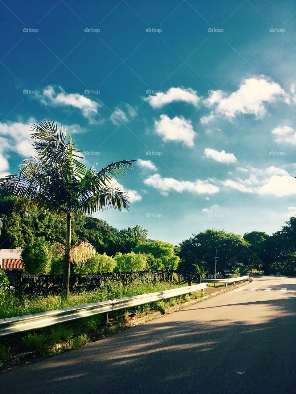 A caminho da... vitória, certo?
🚙
#paisagem
#fotografia
#amanhecer
#natureza
#estrada
