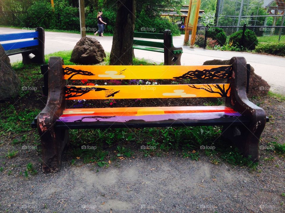 Bench at the Zoo