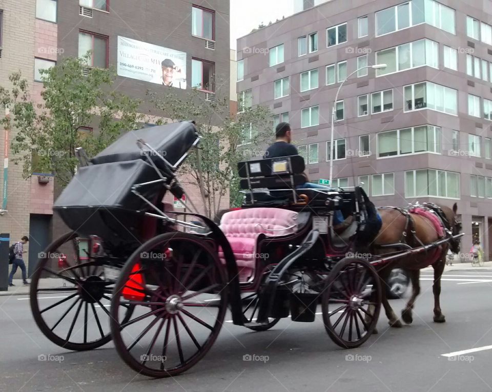 horse drawn carriage . 11th ave NYC