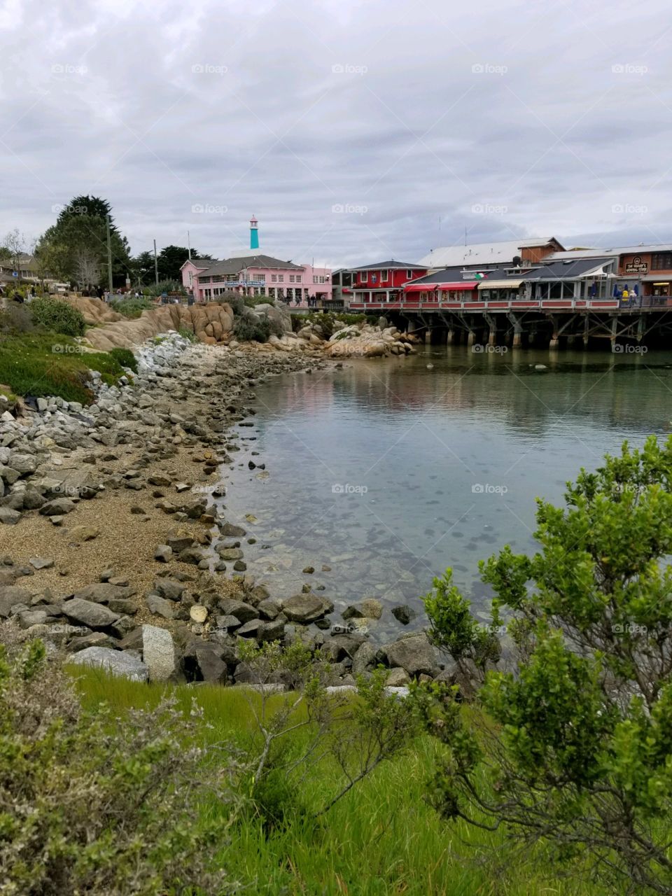Monterey 