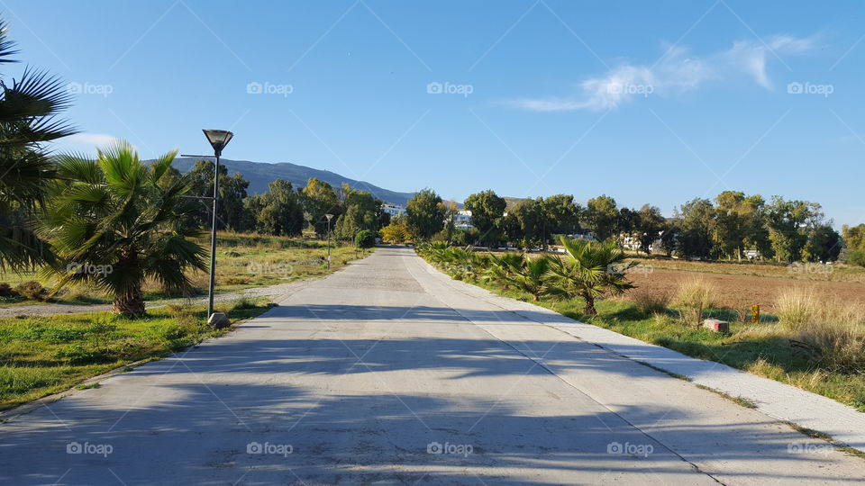 road with palm trees in Greek island