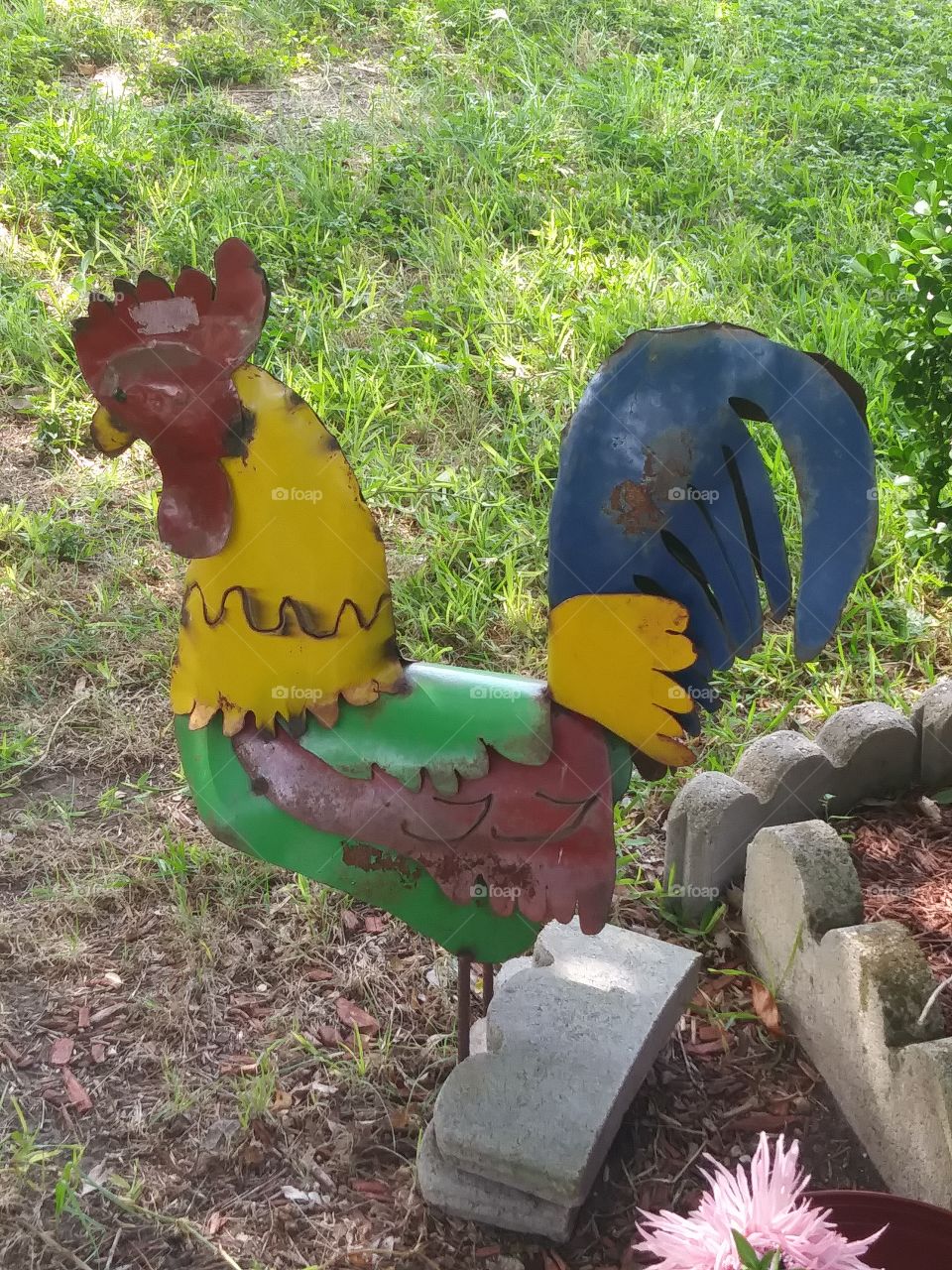 yard art, rooster, decorative yard