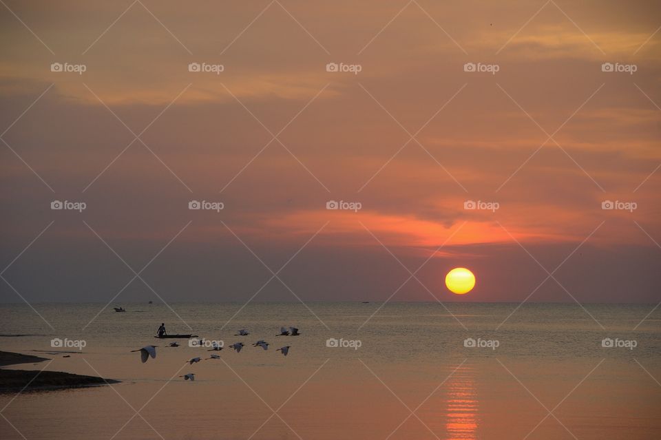 Sunset flying birds beach seaside putatan Sabah.