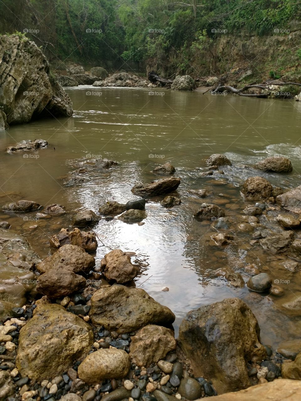 Freshwater river at La Planta, PR.
