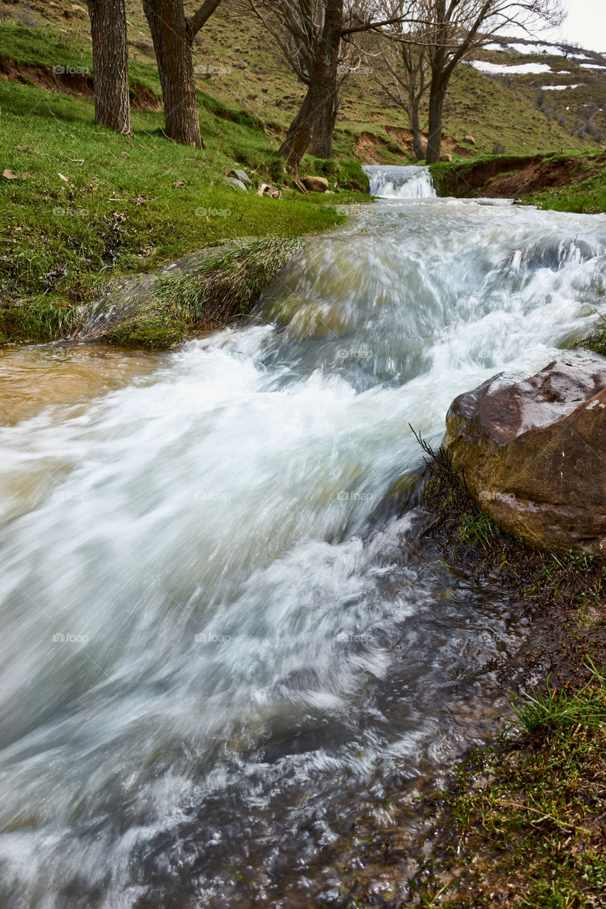 Spring Stream in the mountains. (taken in mid-March just when green grass began to really show) 