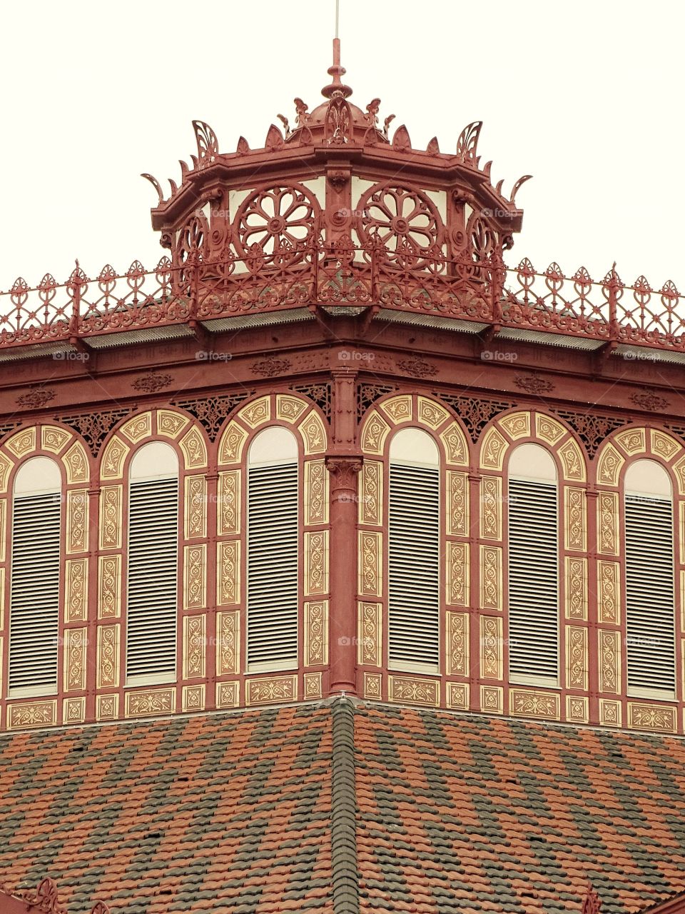 The beauty of the color brown