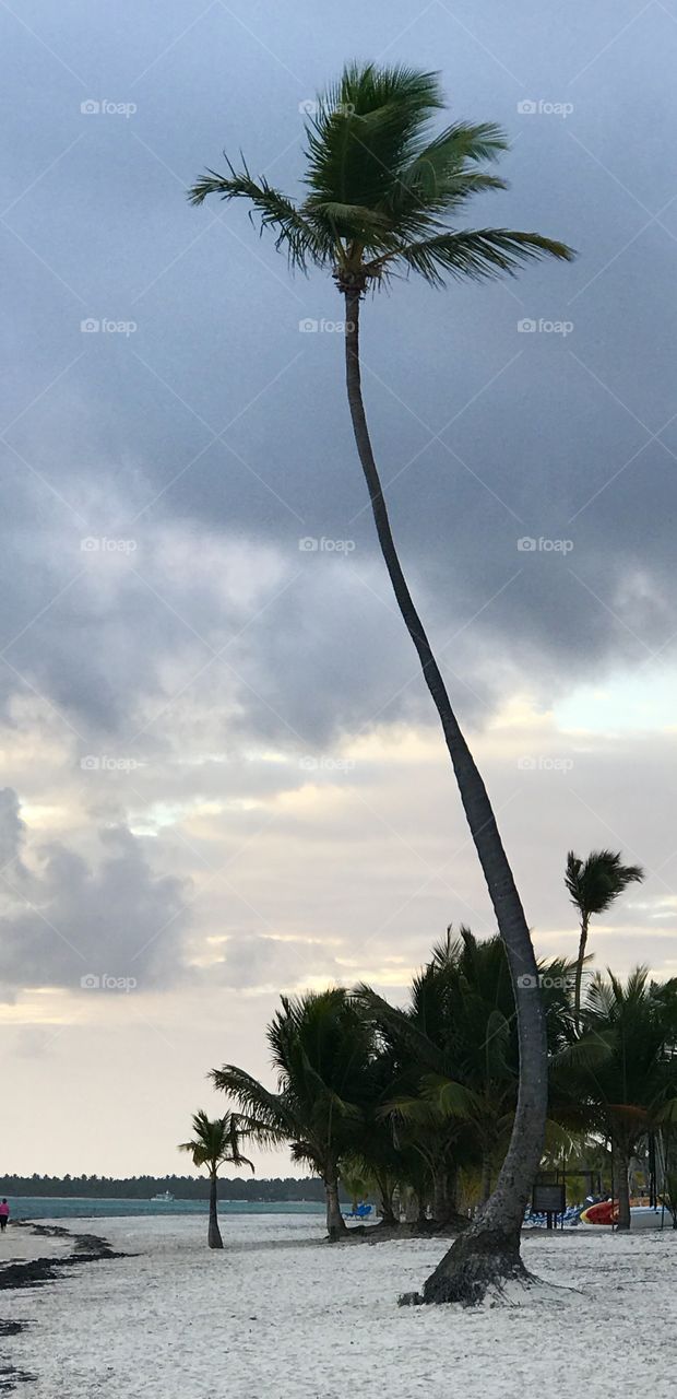 Swaying to the Island Beat #1