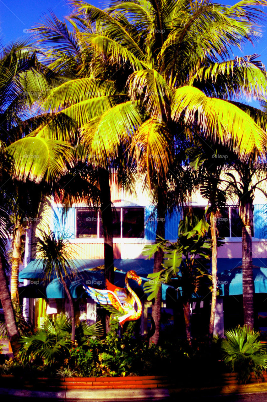 Art Deco flamingo Miami Beach. Art Deco flamingo Miami Beach