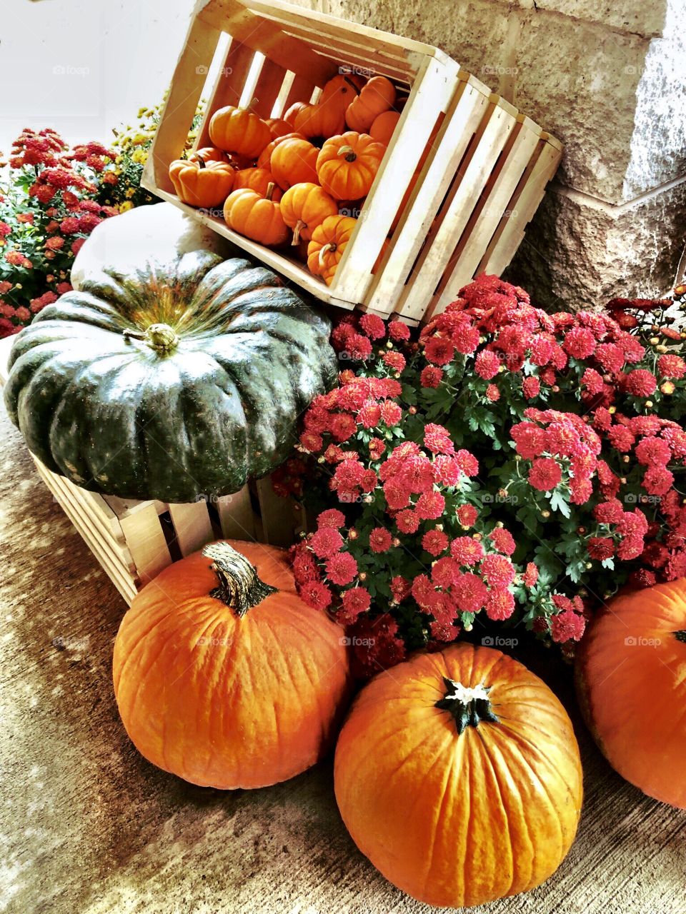 Beautiful fall/autumn display of pumpkins, gourds and chrysanthemums. Miniature pumpkins in wooden basket. 