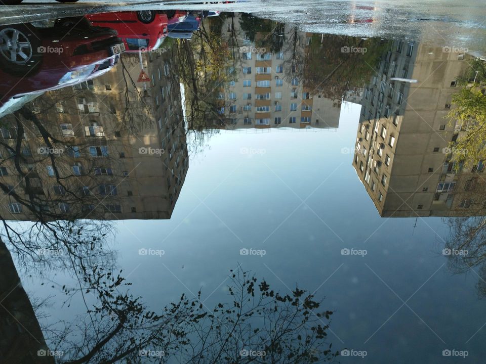 Buildings reflection in a body of water