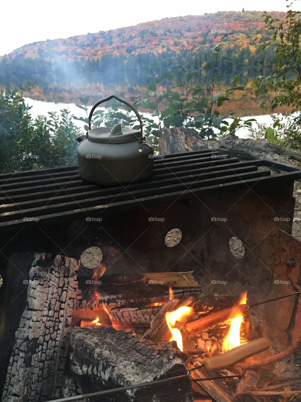 Making campfire roasted hot dogs and tea on a camping trip. 