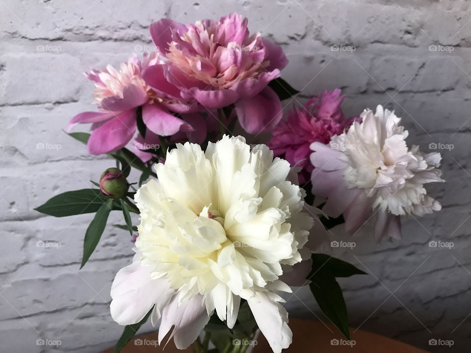 Bouquet of peonies