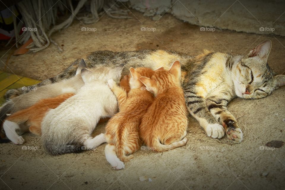 Warm family.