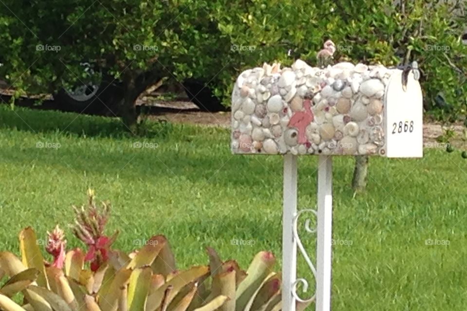 Flamingo seashells mailbox