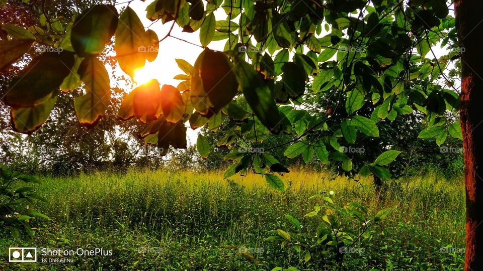 a beautiful evening .......  make mind so calm .....