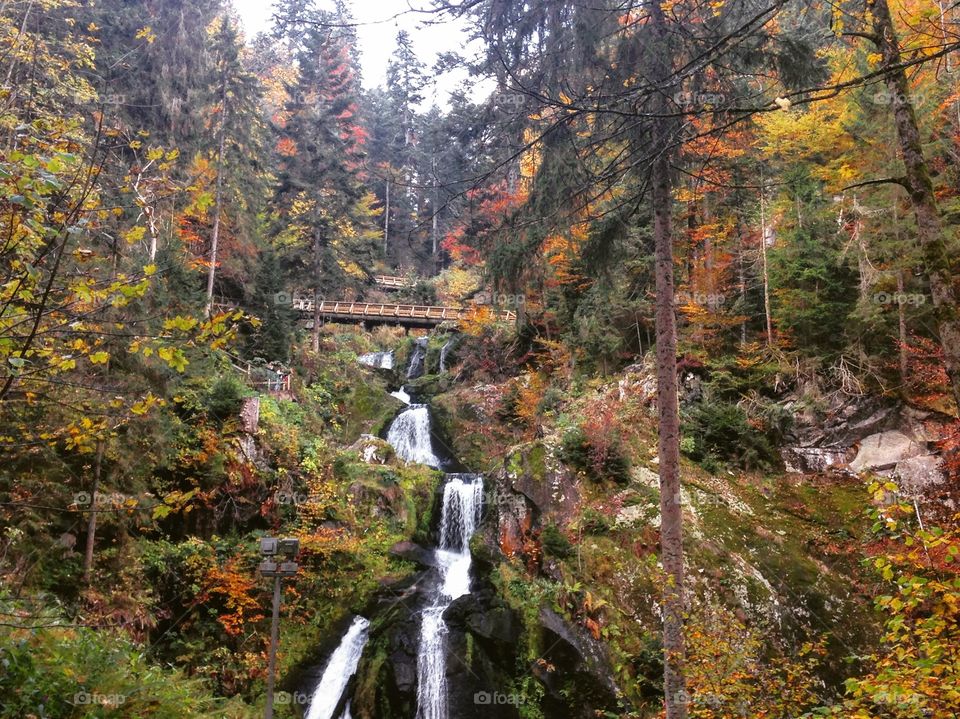 A lot of colors. Nothing better than walk into the nature and see this magic view. 