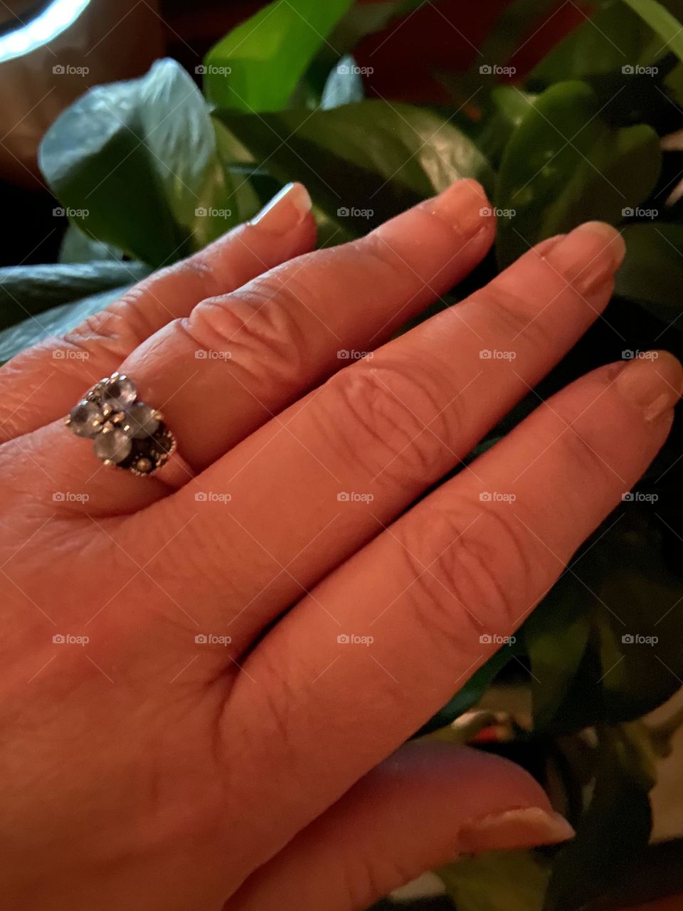 Natural looking but polished nails against the leaves of a plant. Photo shot on my iPhone in night mode. I painted my nails in Sally Hansen Diamond Strength No Chip Nail Color in “24 Karat” & Revlon Colorstay Gel Envy in “Bet on Love.”