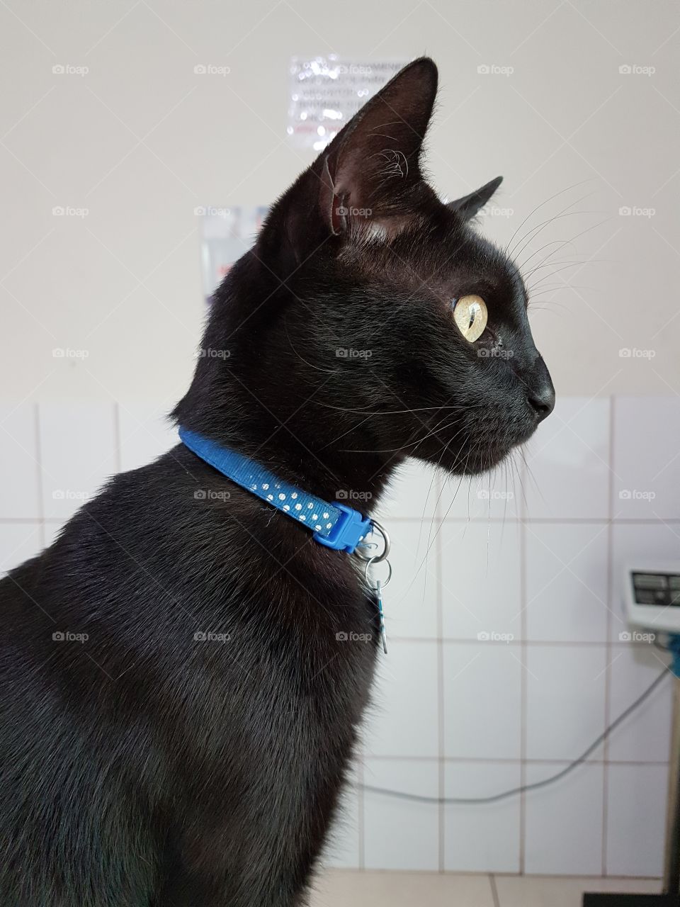 taking his goodness pride out of himself