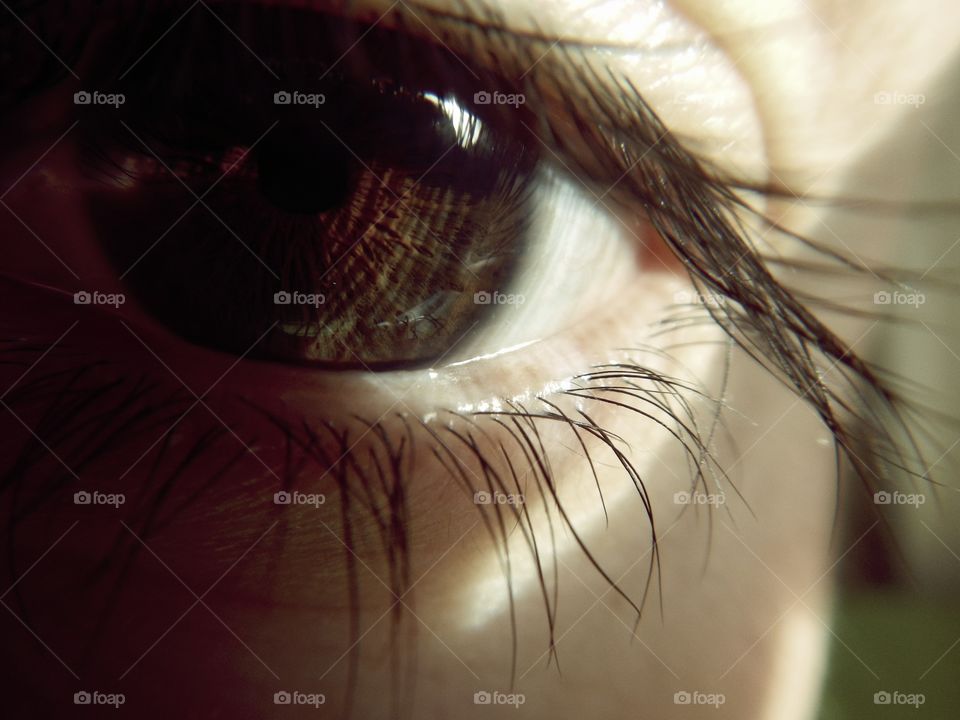 close-up of human eye with details of light brown iris in grey view