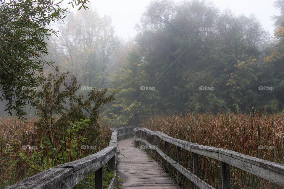 Boardwalk on a foggy autumn morning