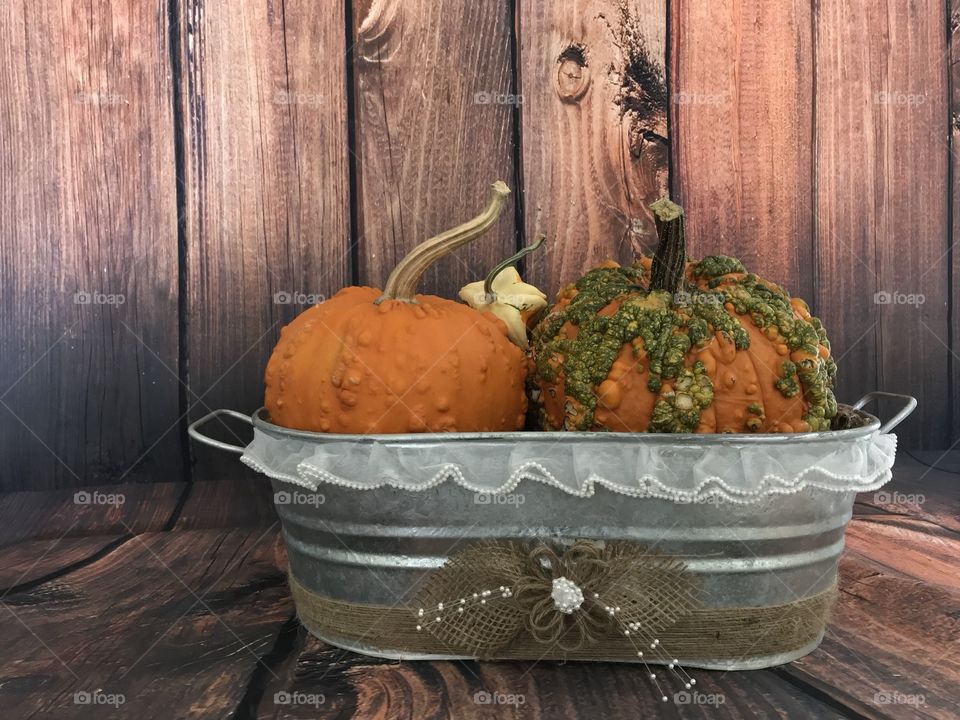 An old country style metal tub with freshly harvested and multi-colored gourds along with two heavily textured pumpkins in orange and green for the fall harvest and Halloween and Thanksgiving holidays.