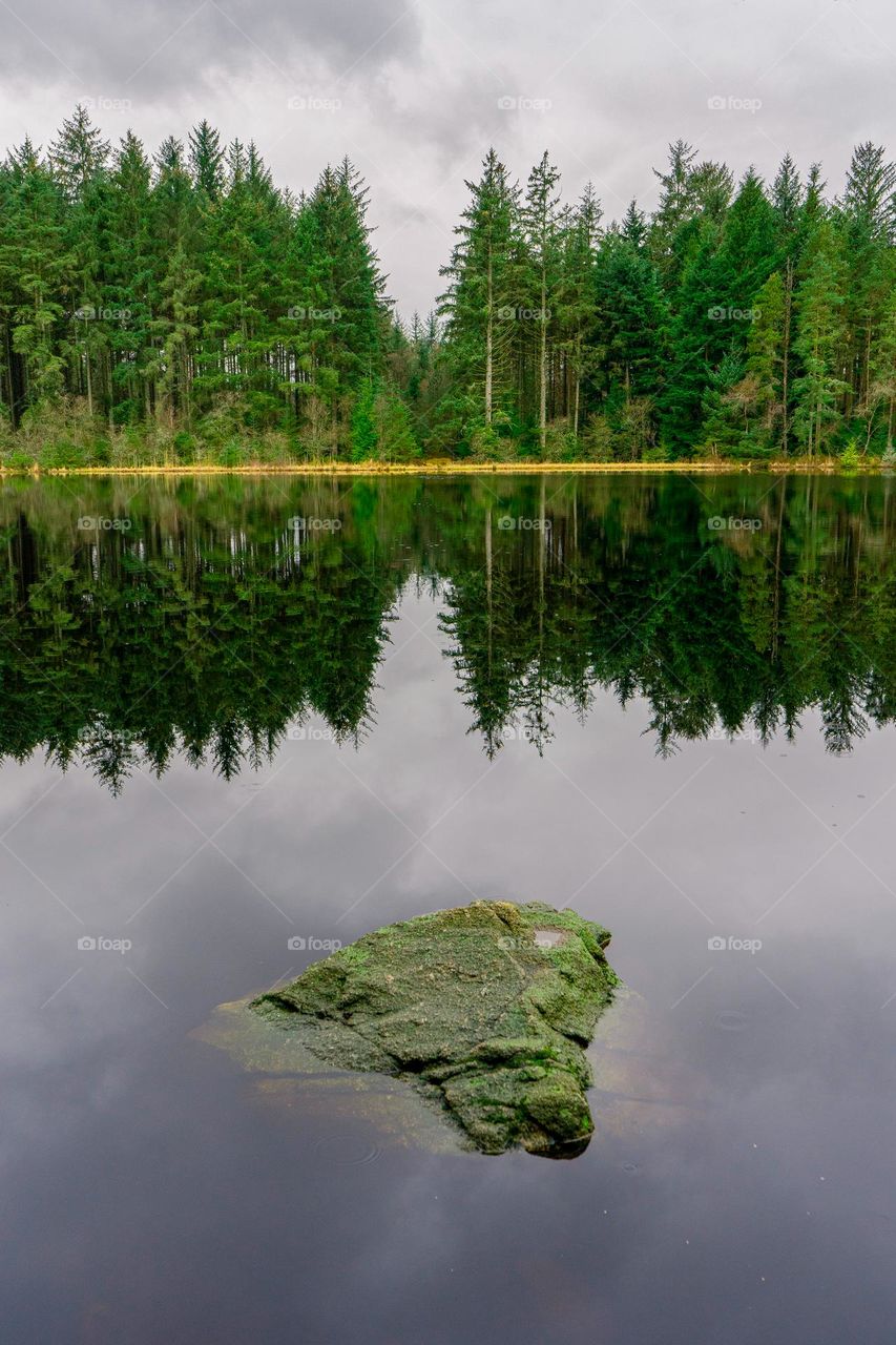 A rock in smooth water in front of trees and their reflection